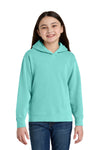Comfort Colors Youth Lightweight Hooded Sweatshirt 1467Y