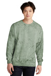 Comfort Colors Color Blast Crewneck Sweatshirt 1545