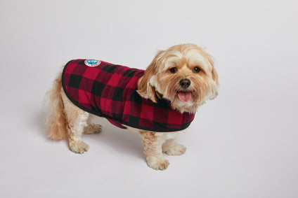Port Authority Pet Fleece Jacket PE100