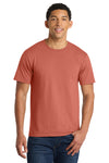 Port & Co PC450 | Tee | Fan Favorite Short Sleeve - Set 2