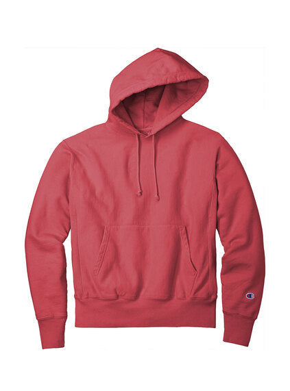 Champion GDS101