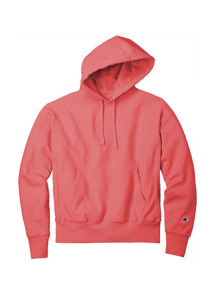 Champion GDS101