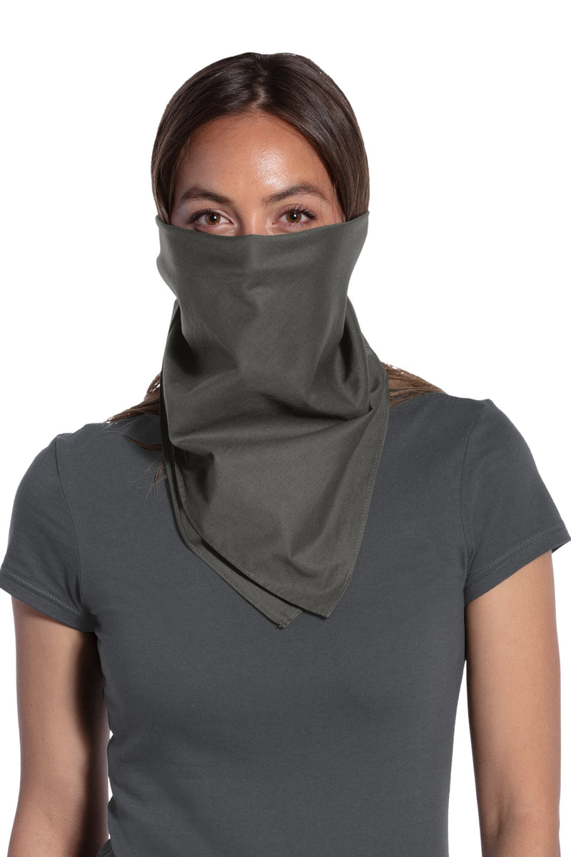 Load image into Gallery viewer, Port Authority Large Bandana C965
