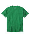 Champion T425 (2 of 2)