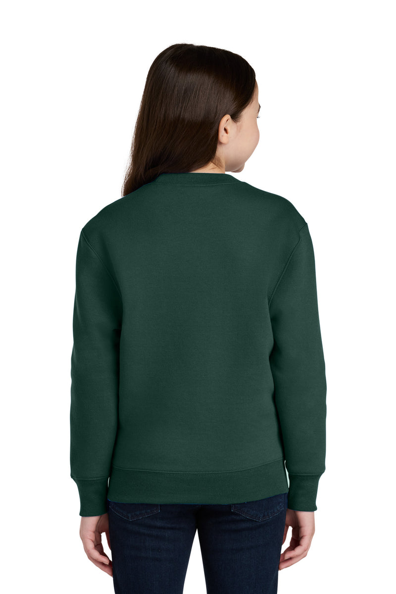 Load image into Gallery viewer, Port &amp; Co Youth Core Fleece Crewneck Pocket Sweatshirt PC78YPKT
