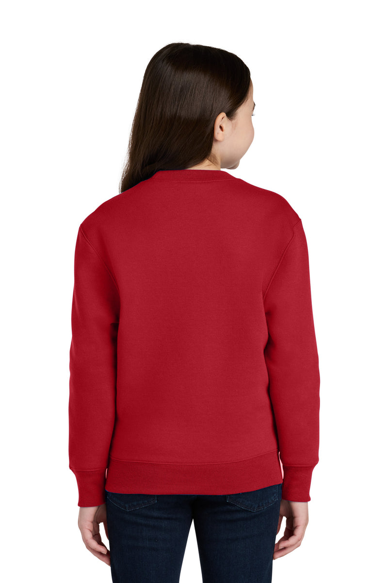 Load image into Gallery viewer, Port &amp; Co Youth Core Fleece Crewneck Pocket Sweatshirt PC78YPKT
