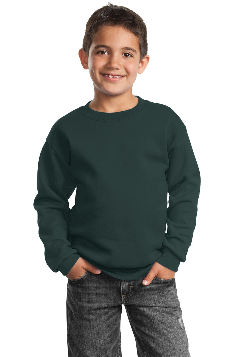 Load image into Gallery viewer, Port &amp; Co Youth Core Fleece Crewneck Sweatshirt.  PC90Y
