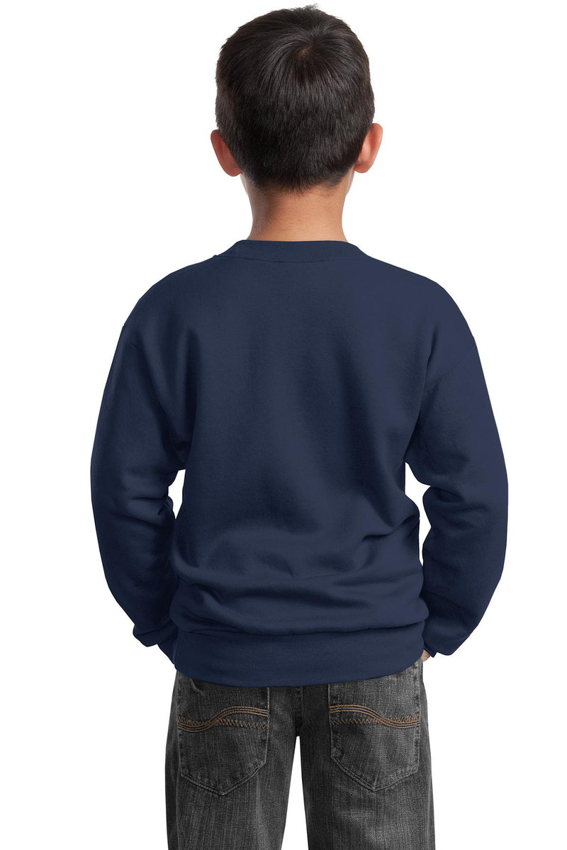 Load image into Gallery viewer, Port &amp; Co Youth Core Fleece Crewneck Sweatshirt.  PC90Y
