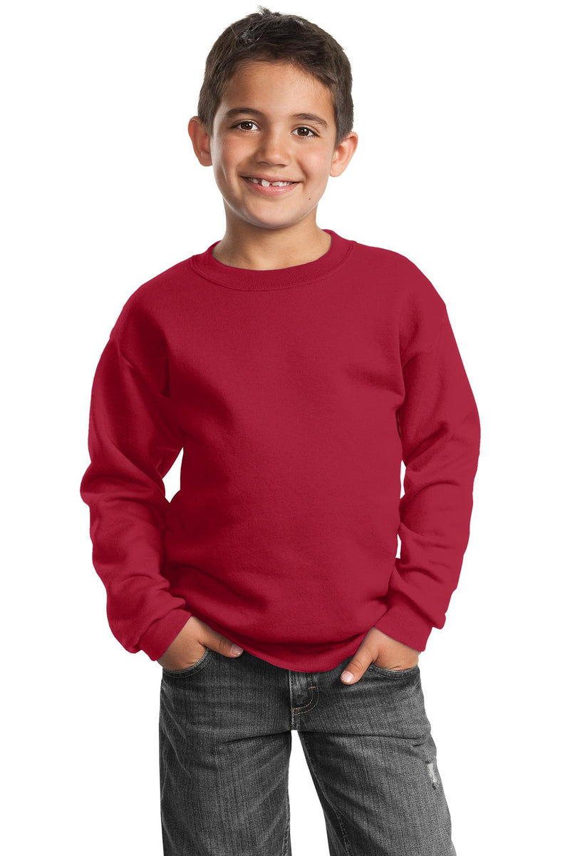 Load image into Gallery viewer, Port &amp; Co Youth Core Fleece Crewneck Sweatshirt.  PC90Y
