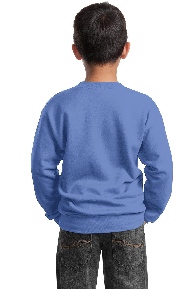 Load image into Gallery viewer, Port &amp; Co Youth Core Fleece Crewneck Sweatshirt.  PC90Y
