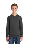 Port & Co Youth Core Fleece Crewneck Sweatshirt.  PC90Y