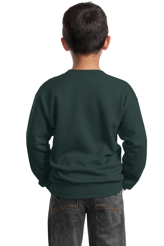 Port & Co Youth Core Fleece Crewneck Sweatshirt.  PC90Y
