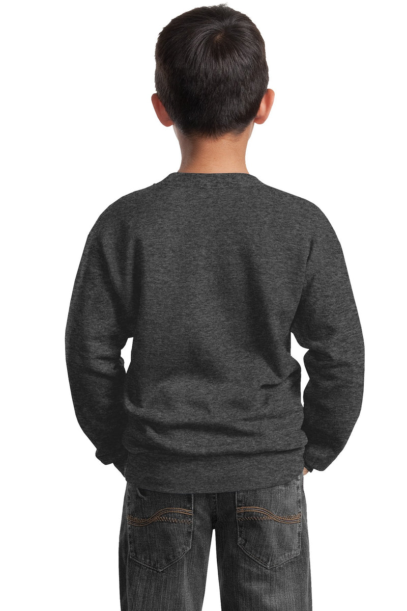 Load image into Gallery viewer, Port &amp; Co Youth Core Fleece Crewneck Sweatshirt.  PC90Y
