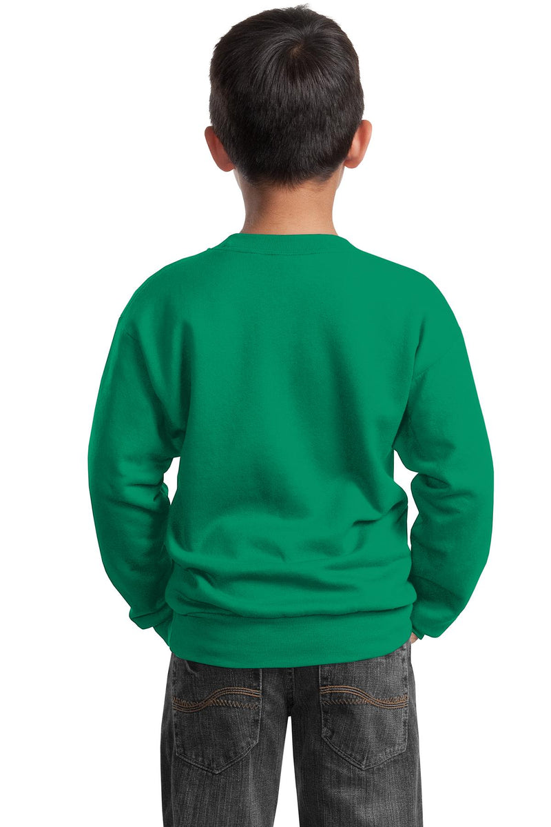 Load image into Gallery viewer, Port &amp; Co Youth Core Fleece Crewneck Sweatshirt.  PC90Y
