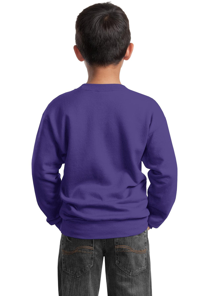 Load image into Gallery viewer, Port &amp; Co Youth Core Fleece Crewneck Sweatshirt.  PC90Y
