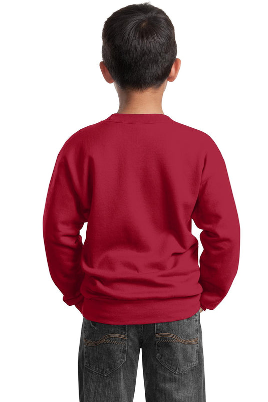 Port & Co Youth Core Fleece Crewneck Sweatshirt.  PC90Y