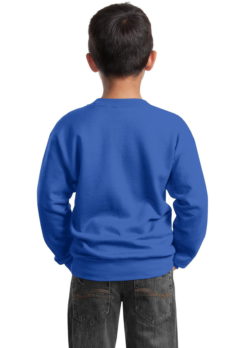 Load image into Gallery viewer, Port &amp; Co Youth Core Fleece Crewneck Sweatshirt.  PC90Y
