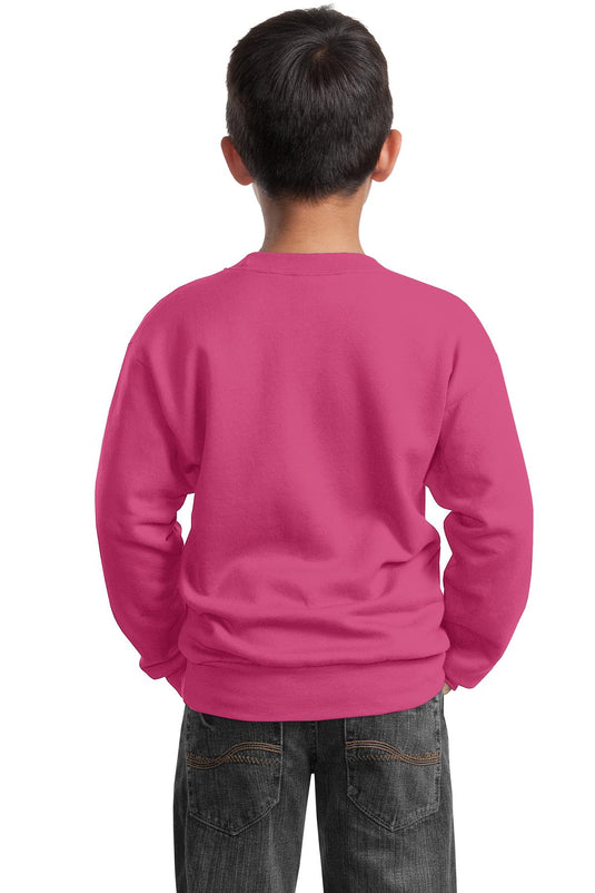 Port & Co Youth Core Fleece Crewneck Sweatshirt.  PC90Y