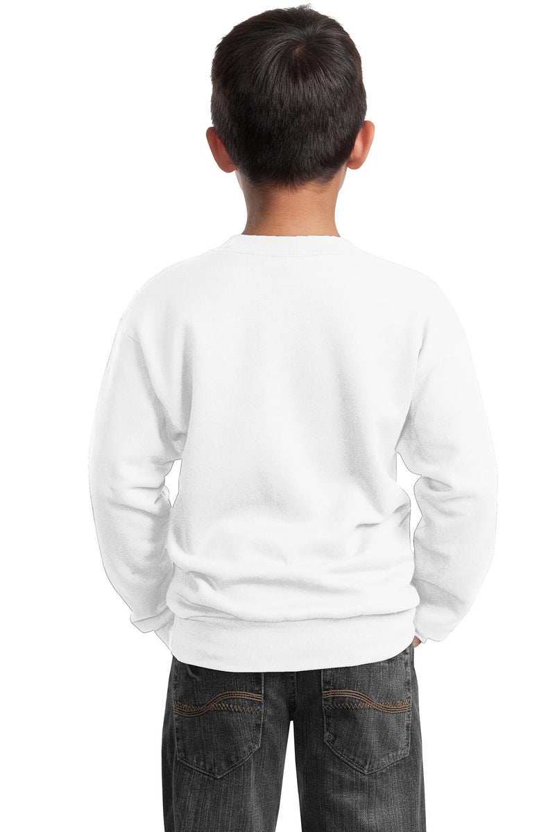 Load image into Gallery viewer, Port &amp; Co Youth Core Fleece Crewneck Sweatshirt.  PC90Y

