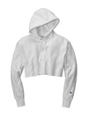 Champion RW01W