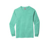 Comfort Colors 6014 (1 of 2)