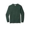 Comfort Colors 6014 (1 of 2)